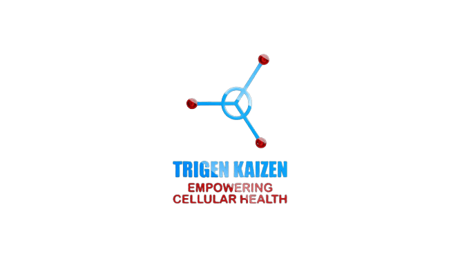 Trigen Kaizen