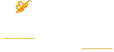 Webeedream Technologies